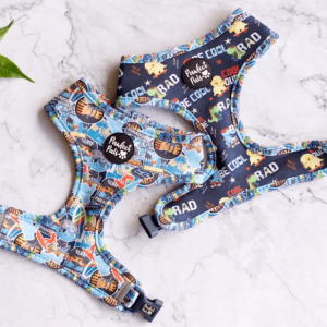 Pawfect Pals Little Dude Reversible Dog Harness