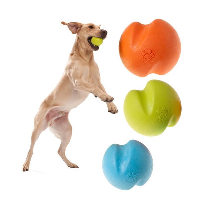 https://petsforlife.com.au/wp-content/uploads/2021/05/WP-Fetch-Ball-Dog.jpg