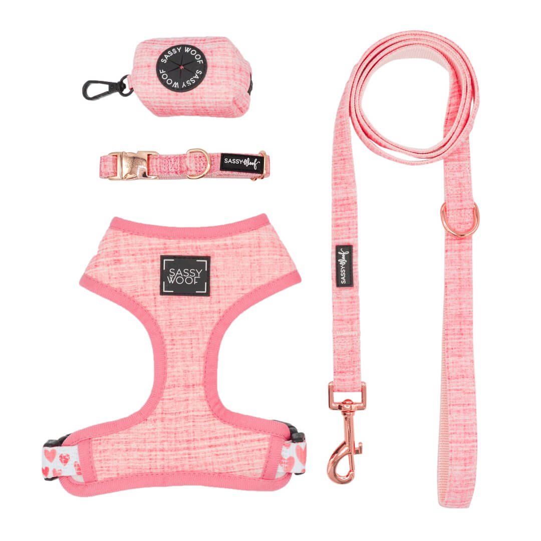 Sassy Woof Reversible Dog Harness - Dolce Rose - Pets for Life ...